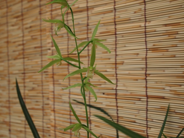 b0201233_01759100.jpg