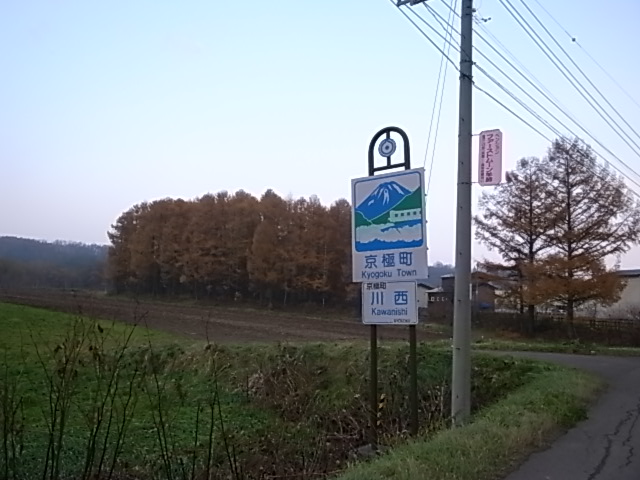 e0173533_124906.jpg