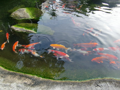 f0001835_18485527.jpg