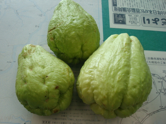 a0048040_21432391.jpg