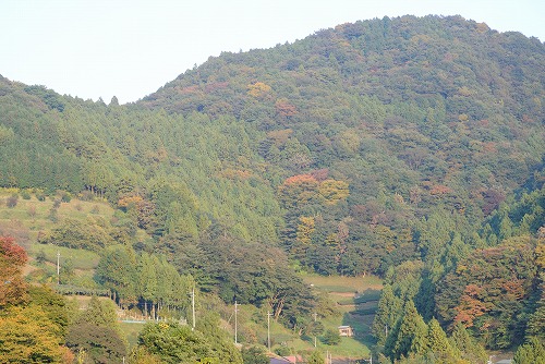 a0048040_21591713.jpg