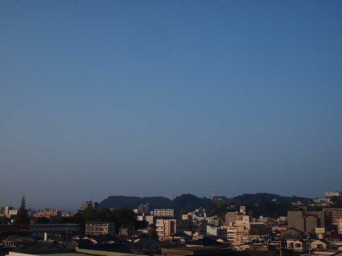 a0146442_802581.jpg
