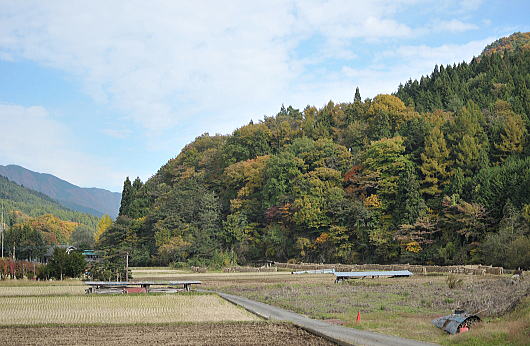 f0094843_19552413.jpg