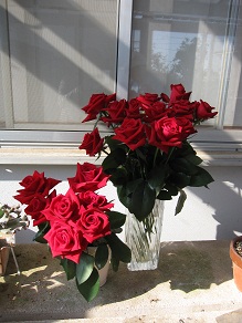e0011145_1115337.jpg