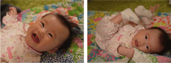 b0182846_13184037.gif