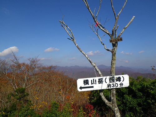 c0042847_10461279.jpg