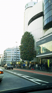 f0179947_1225050.jpg