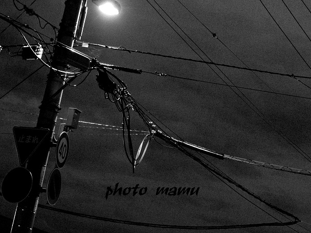 e0200350_2202287.jpg