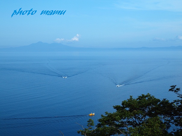 e0200350_226116.jpg