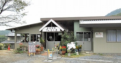 d0031853_062668.jpg