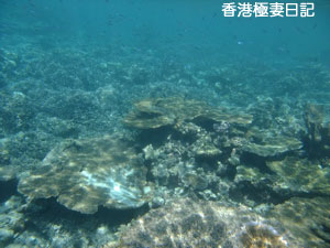 f0190653_17394590.jpg