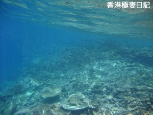 f0190653_17402454.jpg