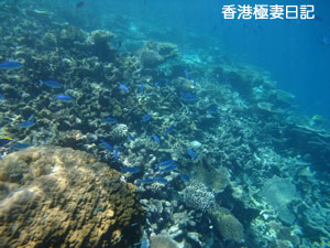 f0190653_17403314.jpg