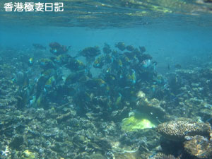 f0190653_174384.jpg