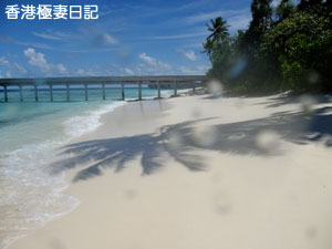f0190653_1745425.jpg