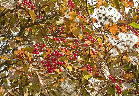 a0001354_21502638.jpg