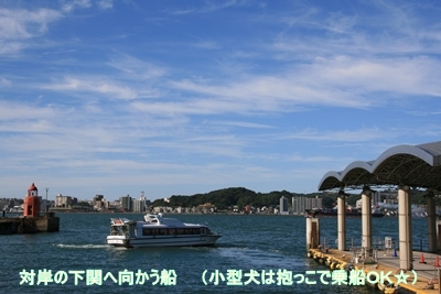 d0054461_2081513.jpg