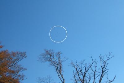 e0197164_10271093.jpg