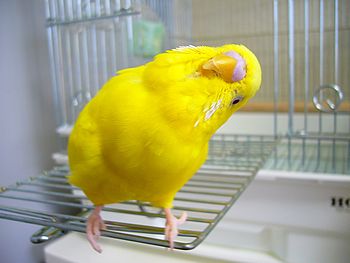 f0196665_0145518.jpg