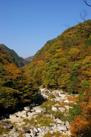 e0045768_2171067.jpg