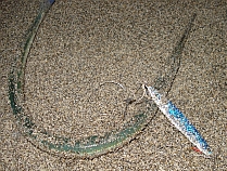 a0096669_80509.jpg