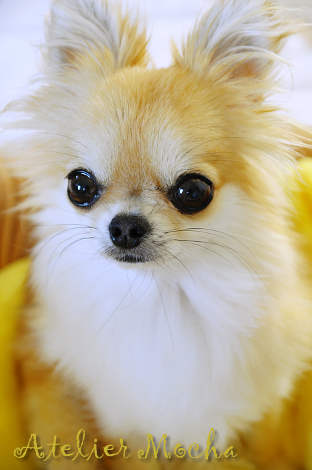 c0026870_20102717.jpg