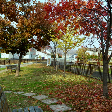 c0026870_20105321.jpg