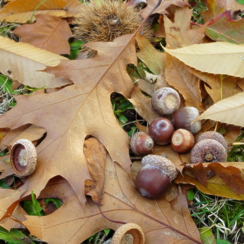 c0026870_2011172.jpg