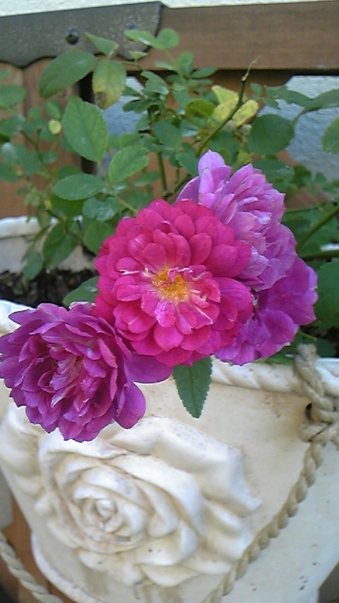c0202870_8505750.jpg