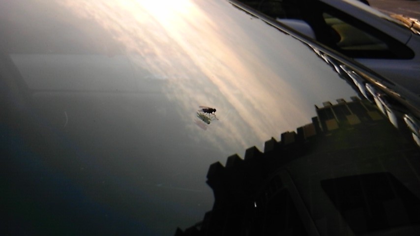 c0061774_2123953.jpg
