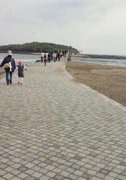 d0161575_15331100.jpg