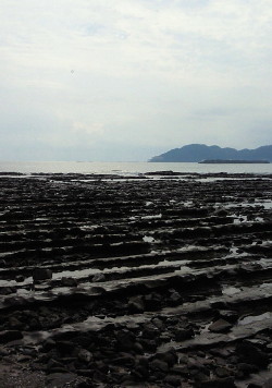 d0161575_154812.jpg