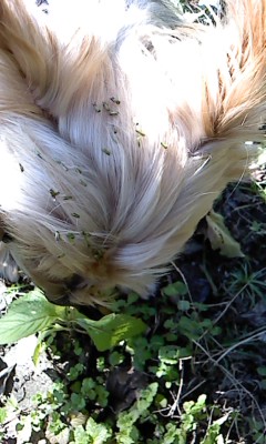 e0123587_2150926.jpg