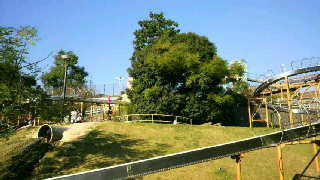 f0170387_20305071.jpg