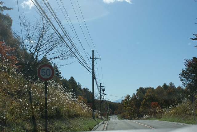 f0079289_8352329.jpg