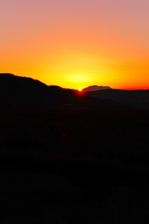 d0020791_23341196.jpg