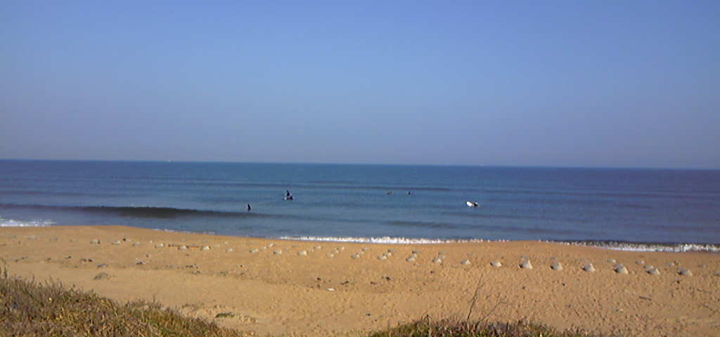 e0197891_1557387.jpg