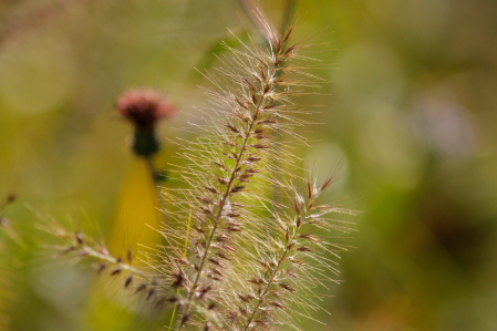 d0133693_22571059.jpg
