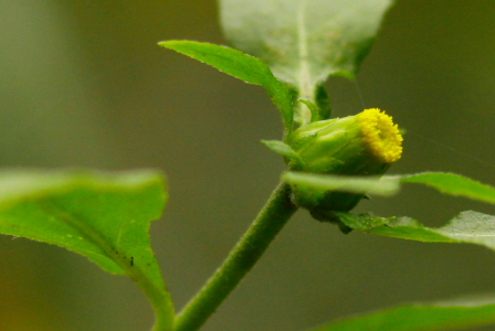 d0133693_22571655.jpg