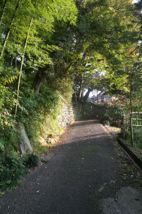 c0100195_084235.jpg