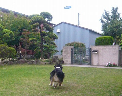 f0077697_19262763.jpg
