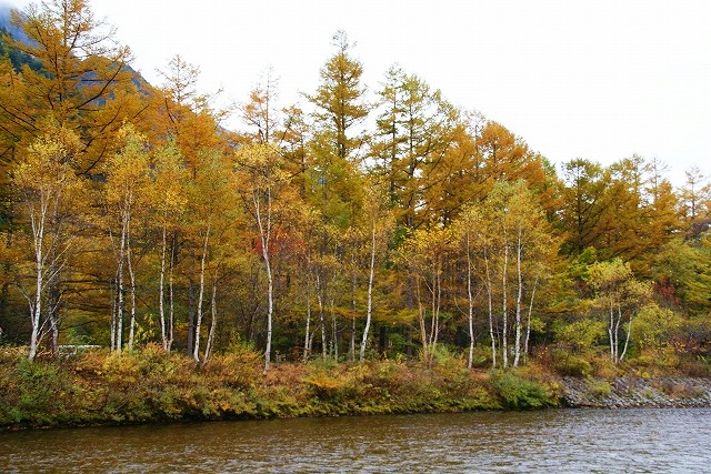 b0145398_23102571.jpg