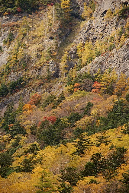 b0145398_2374171.jpg