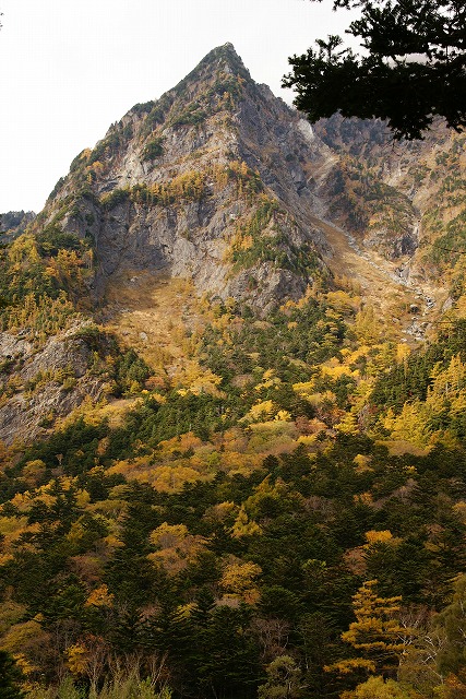 b0145398_2375365.jpg