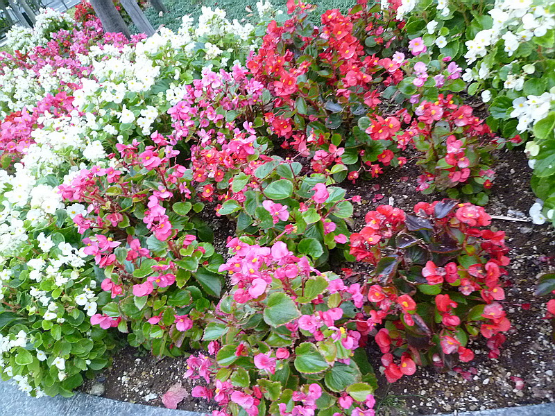 c0138198_124444.jpg