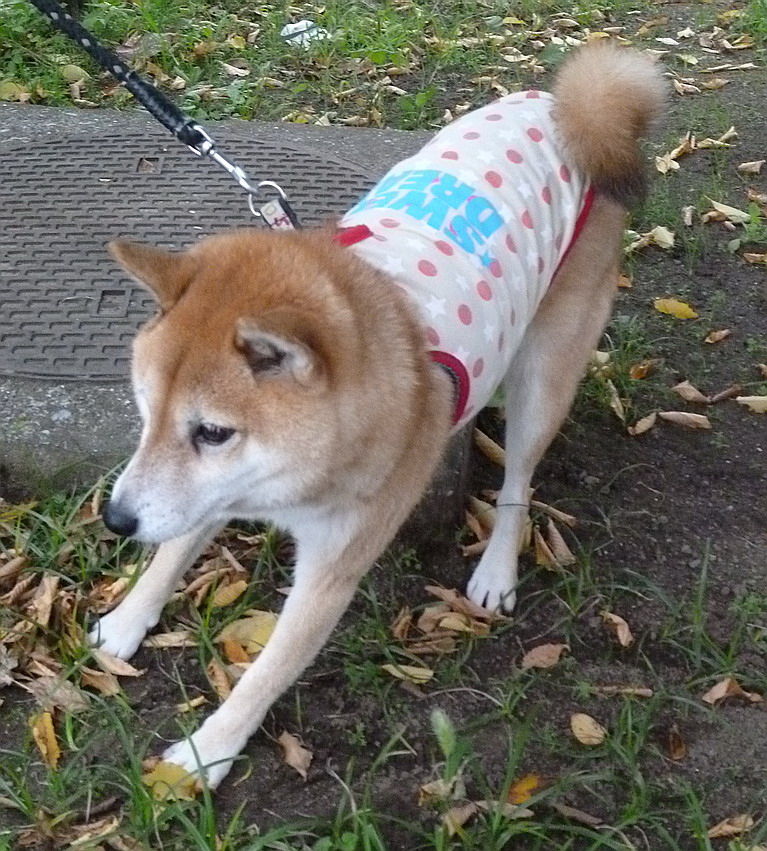 c0138198_128017.jpg