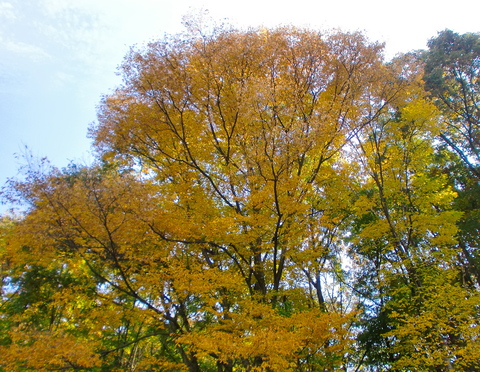 c0151898_1832413.jpg