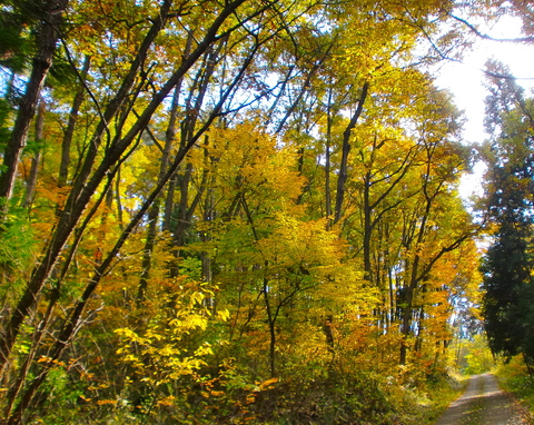 c0151898_1833488.jpg