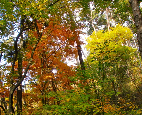 c0151898_1835687.jpg