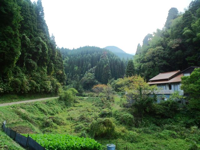 e0190698_0444479.jpg